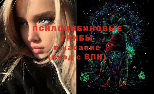 спиды Гусев