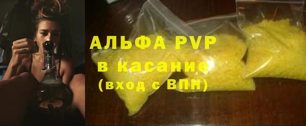 спиды Гусев