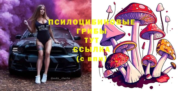 спиды Гусев