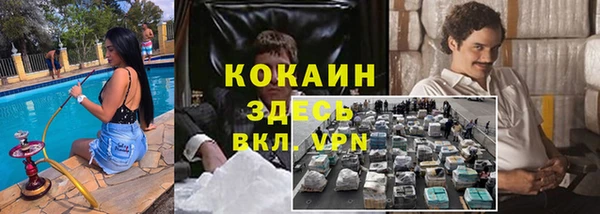 прущая мука Дмитровск