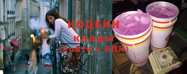 спиды Гусев